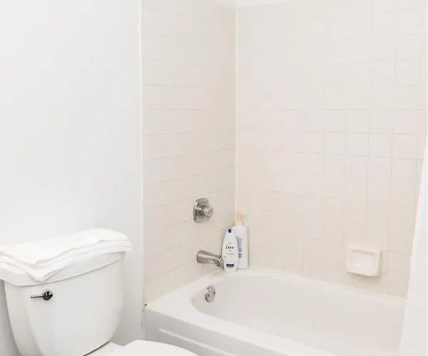 Envitae 3br Spacious Lux Skyview Of Navy Pier Apartment Chicago